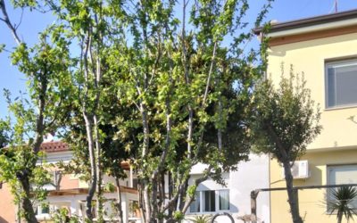 Centralissima porzione di bifamiliare